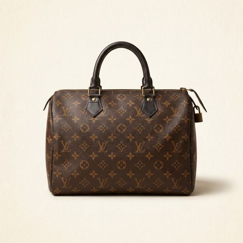 Louis Vuitton Speedy 30